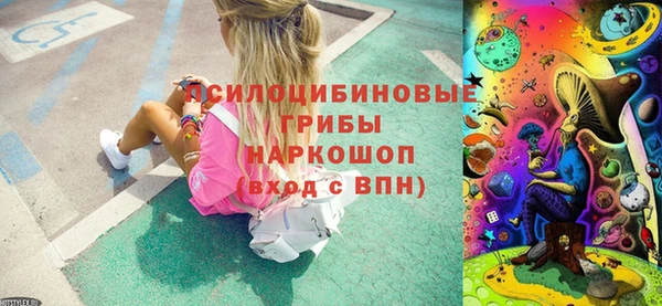 ешки Арсеньев