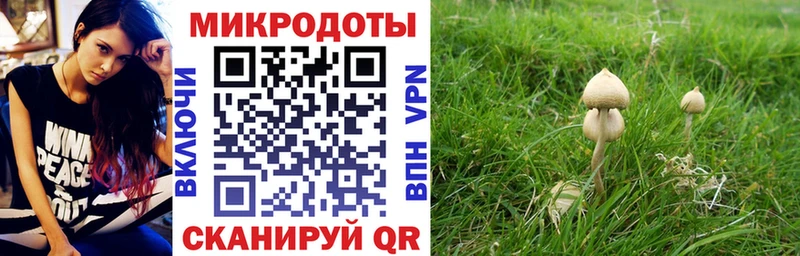 Псилоцибиновые грибы ЛСД  Байкальск 